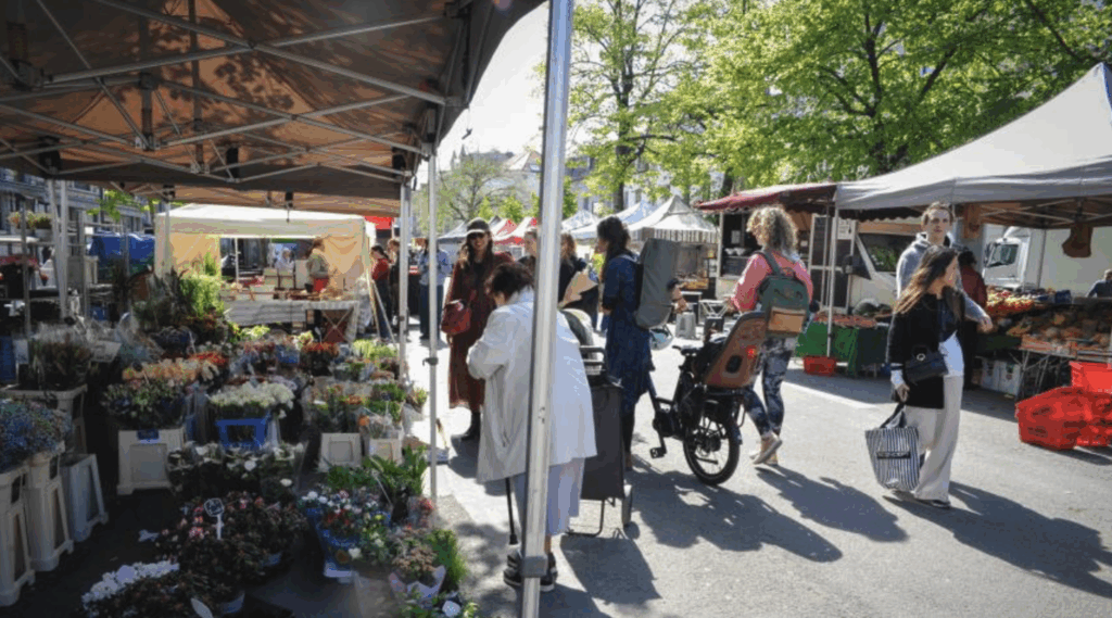 aac7ddc9f8e34811ba4c8e0a5c756503